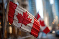 What Is an IRCC Authorized Panel Physician for Immigration?