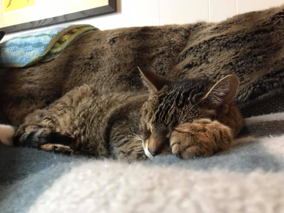 Sample Marketing Blog Post 3