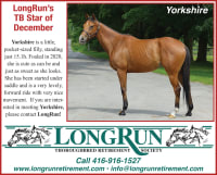 LongRun Thoroughbred Retirement Society