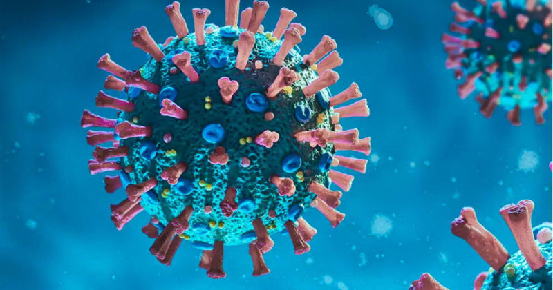 Niagara Community Foundation's Response to the COVID-19 Pandemic