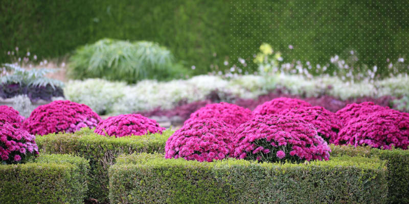 A Garden Party with Big Impact