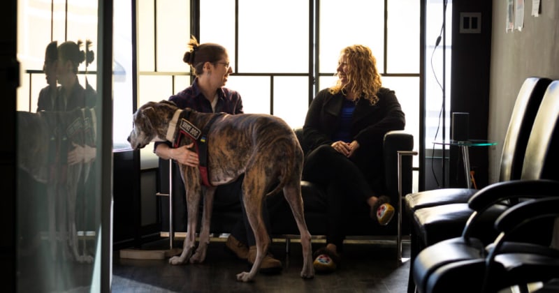 Healing from Trauma- A Proven Approach