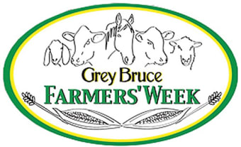 Celebrating 50 Years of Grey Bruce Horse Days!