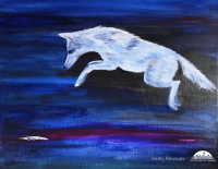 Celebrating Coyotes Week and National Coyote Day Tribute Installations