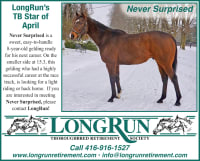 LongRun Thoroughbred Retirement Society