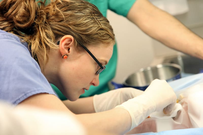 Why Choose a Specialized Circumcision Clinic in Ottawa?