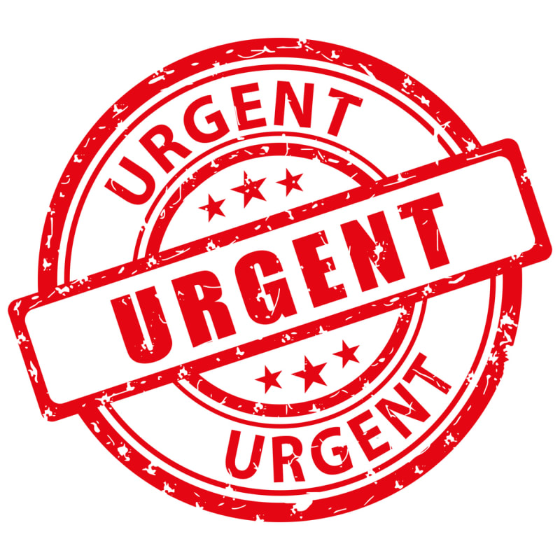 Understanding the Urgent Application Court Process in Alberta