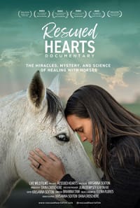 Rescued Hearts Documentary Premieres in Niagara: A Powerful Exploration of Healing Through Horses