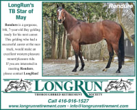 LongRun Thoroughbred Retirement Society