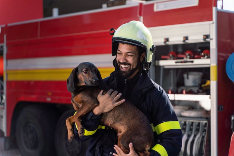 Supporting Pets and Families During Wildfire Evacuations: How We’re Here to Help