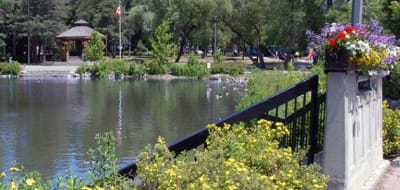 Mill Pond Richmond Hill: The Complete Neighbourhood Guide