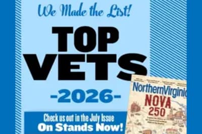 We've Been Named Named Some of Northern Virginia Magazine Top Veterinarians for 2026!