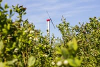 Orchard‑Rite Wind Machine – Reliable Frost Protection for Orchards & Vineyards