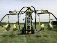 Leaf Removal For Better Grapes
