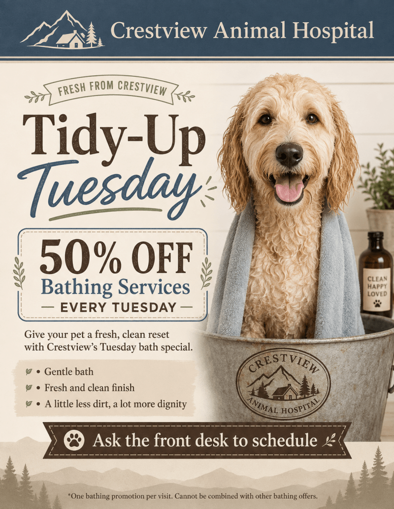 Tidy-Up Tuesday Bathing Special