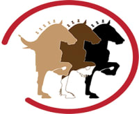 The Canadian Draft Horse Futurity 2026