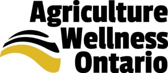 Staying well in busy seasons