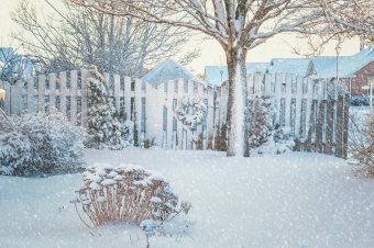 Winter Landscape Tips: How to Keep Your Landscape Looking Great All Year Long