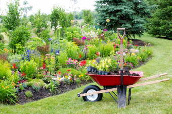 Front Yard Landscaping Tips: How to Plan Your Project