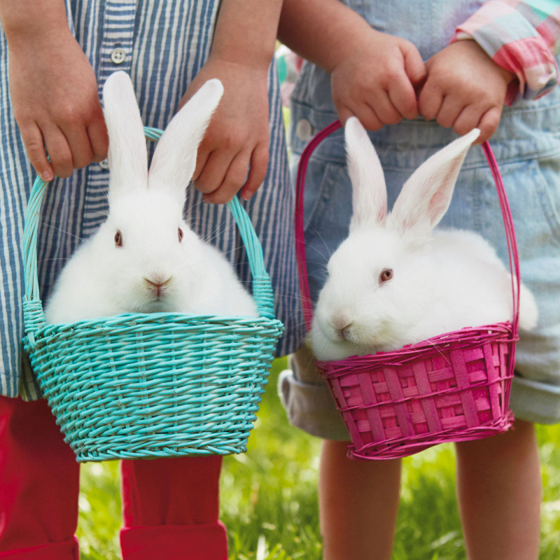 Easter Hallmark Awesome Gifts