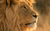 testing blog image2