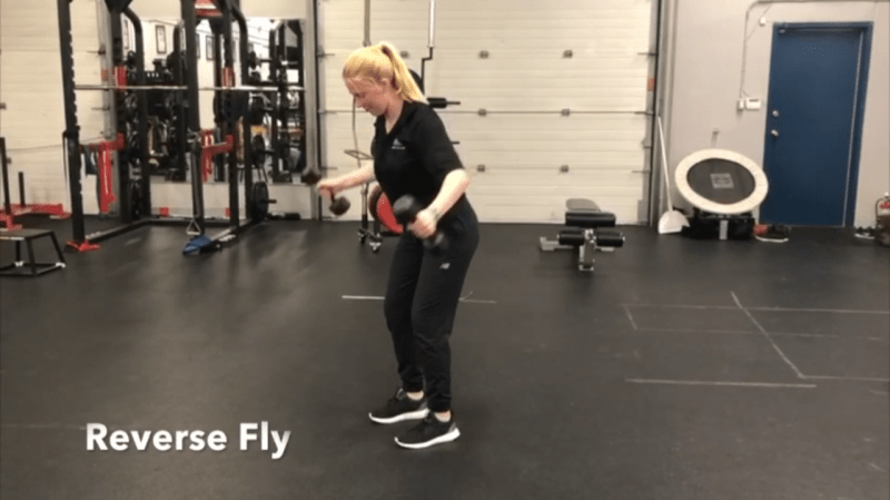 Sb Reverse Fly Today's Fitness Friday features the Reverse Fly.