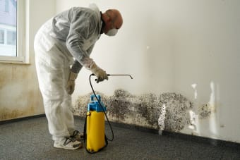 5 Must-Know Mould Safety Tips For Winter