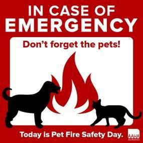 Are You And Your Pets Ready In Case Of A Fire?