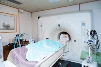 MRIs for Dogs - How They Can Help