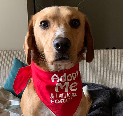 leroy evans Donald leroy evans’s natal birth chart, kundli, horoscope, astrology