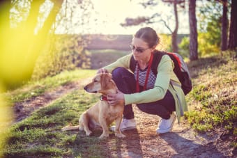 How do I know if my pet has Lyme disease?