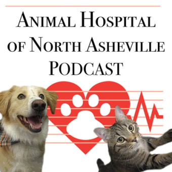 The Love of Veterinary Medicine: AHNA Podcast