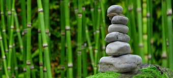 How to Create a Mini Zen Garden for Ultimate Peace