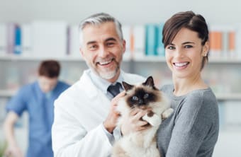 How often should I take my cat to the vet?