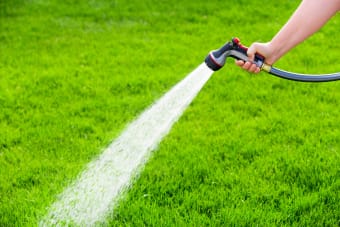 Keep Your Yard Looking Great With These Lawn Care Tips