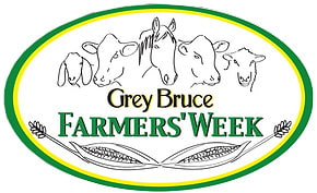 Horse Day returns to Grey Bruce Farmers’ Week