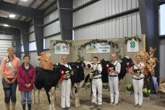 4-H Intercounty Dairy
