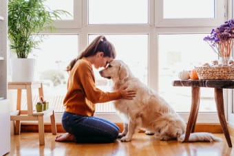 Pet Vaccination Side Effects & What You Should Know