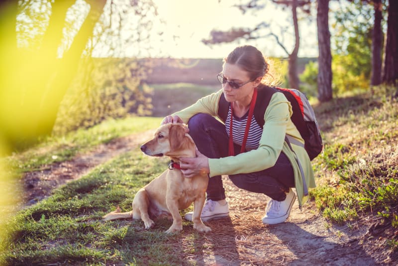 How Do I Know if My Pet Has Lyme Disease?