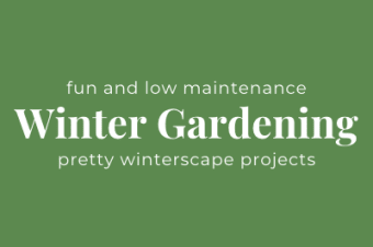 Winter Gardening | Pretty Winterscape Projects | Ottawa Valley