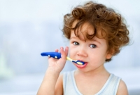 Choosing a Toothbrush for Your Toddler