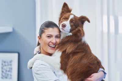 6 Benefits of Pet Wellness Plans