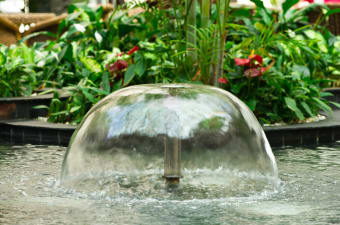 From Ponds to Waterfalls: Exploring Different Types of Water Features