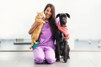 How Often Should Your Pet See a Veterinarian?