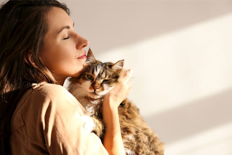 Why Does My Cat's Breath Smell Bad? Astoria Vets
