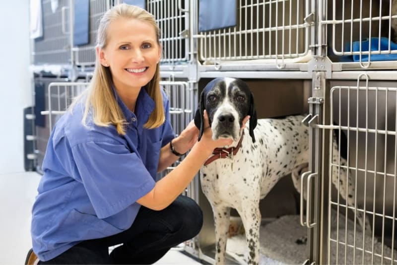 Vets with boarding near me